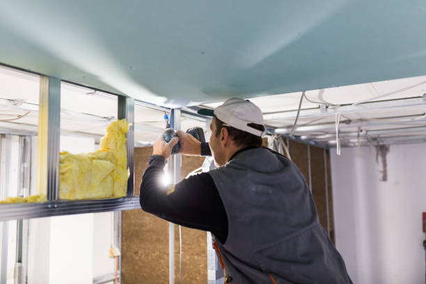 Best Professional Insulation Contractor  in Taylor Creek, OH